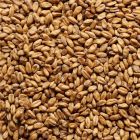 Joe White Wheat Malt