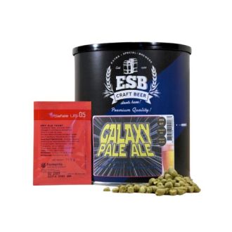 ESB 3kg Galaxy Pale Ale