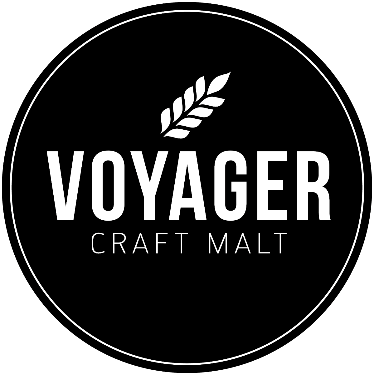 Voyager Triticale